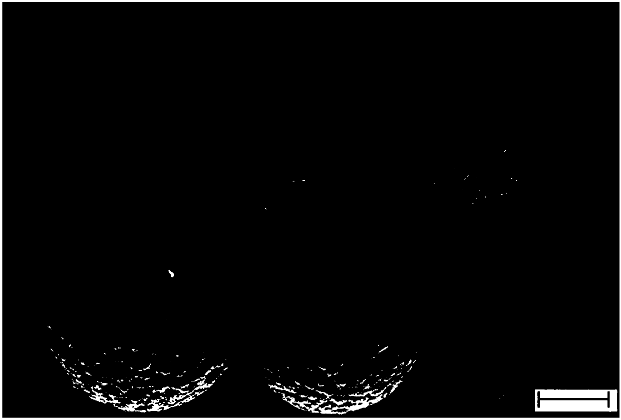 Preparation method of composite microsphere having "crunchy rice candy" like structure, the prepared composite microsphere, and application thereof