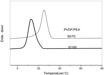 Polyester composite material with polyvinylidene fluoride fiber as nucleating agent and preparation method thereof