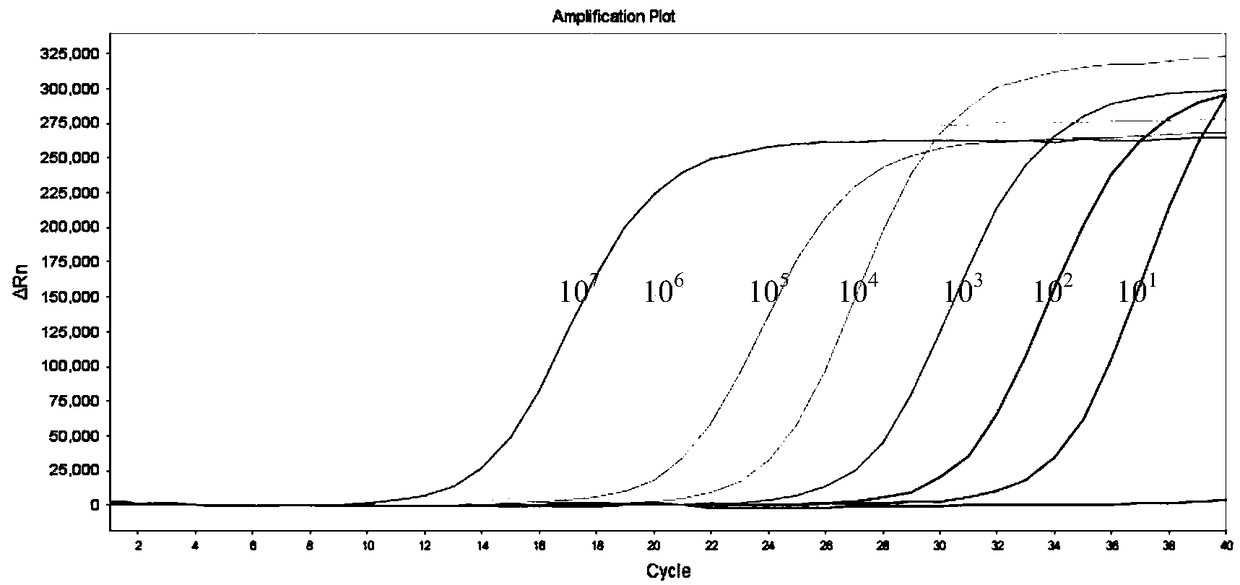 Taqman real-time fluorescent PCR kit for detecting pseudorabies virus and detection method thereof