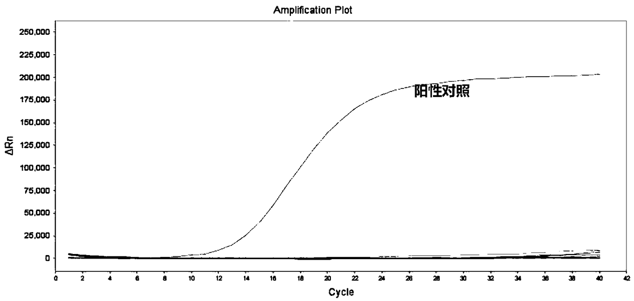 Taqman real-time fluorescent PCR kit for detecting pseudorabies virus and detection method thereof