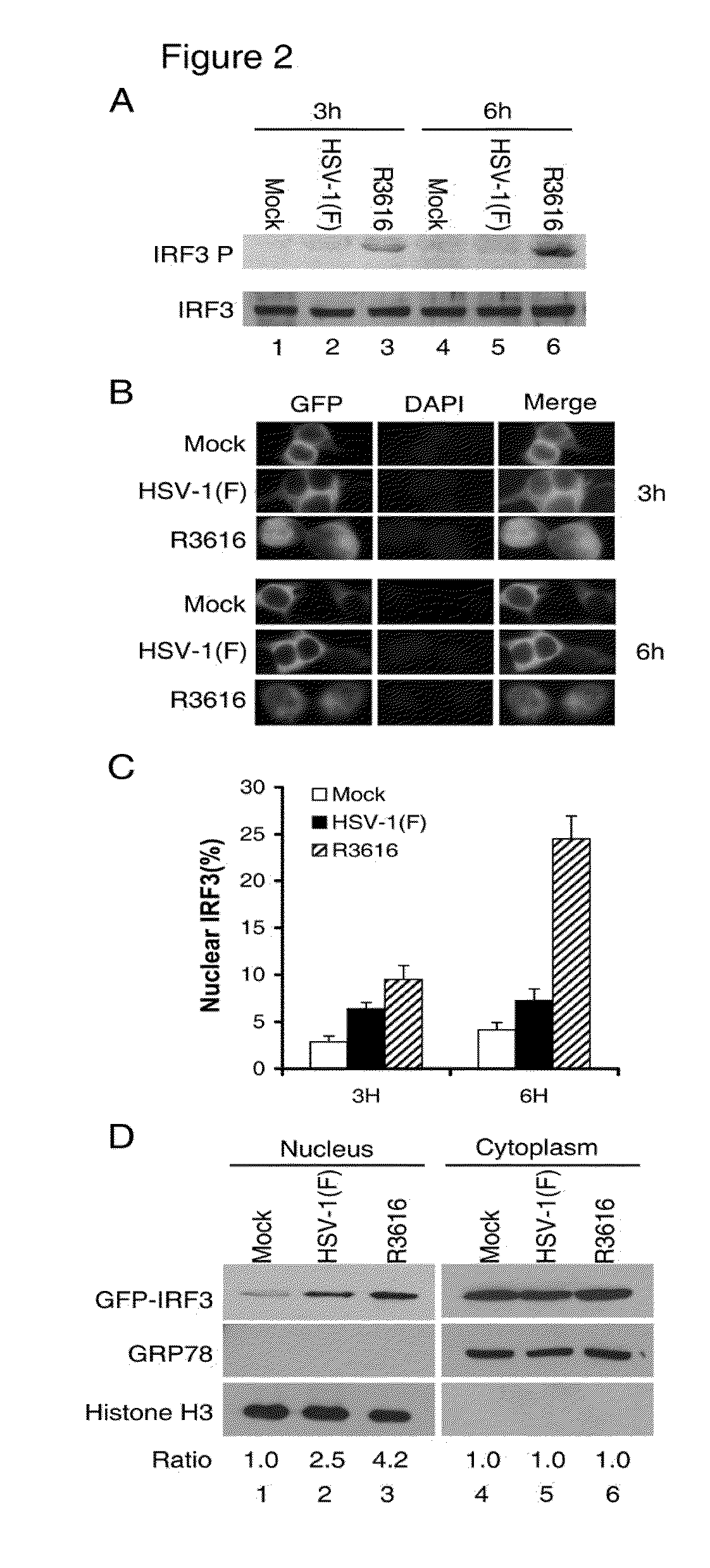 Compositions and methods using herpes simplex virus