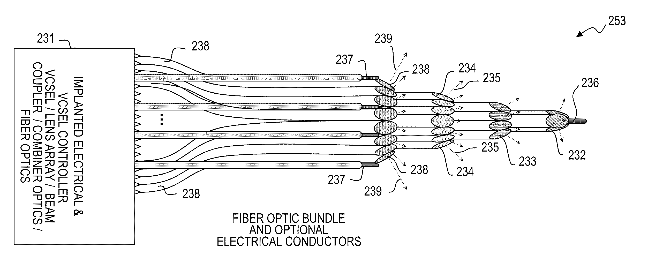 Optical bundle apparatus and method for optical and/or electrical nerve stimulation of peripheral nerves