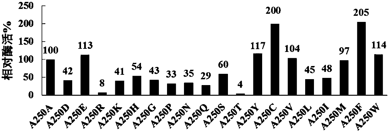 Aspergillus usamii epoxide hydrolase mutants with improved enantioselectivity