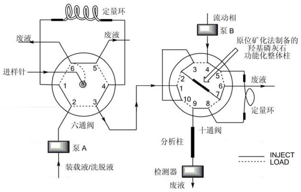 Solid-phase microextraction-high performance liquid chromatography online detection method for zoledronic acid and risedronic acid