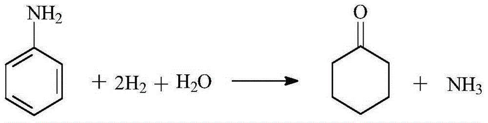 Method for directly synthesizing cyclohexanone by hydrogenation of aniline
