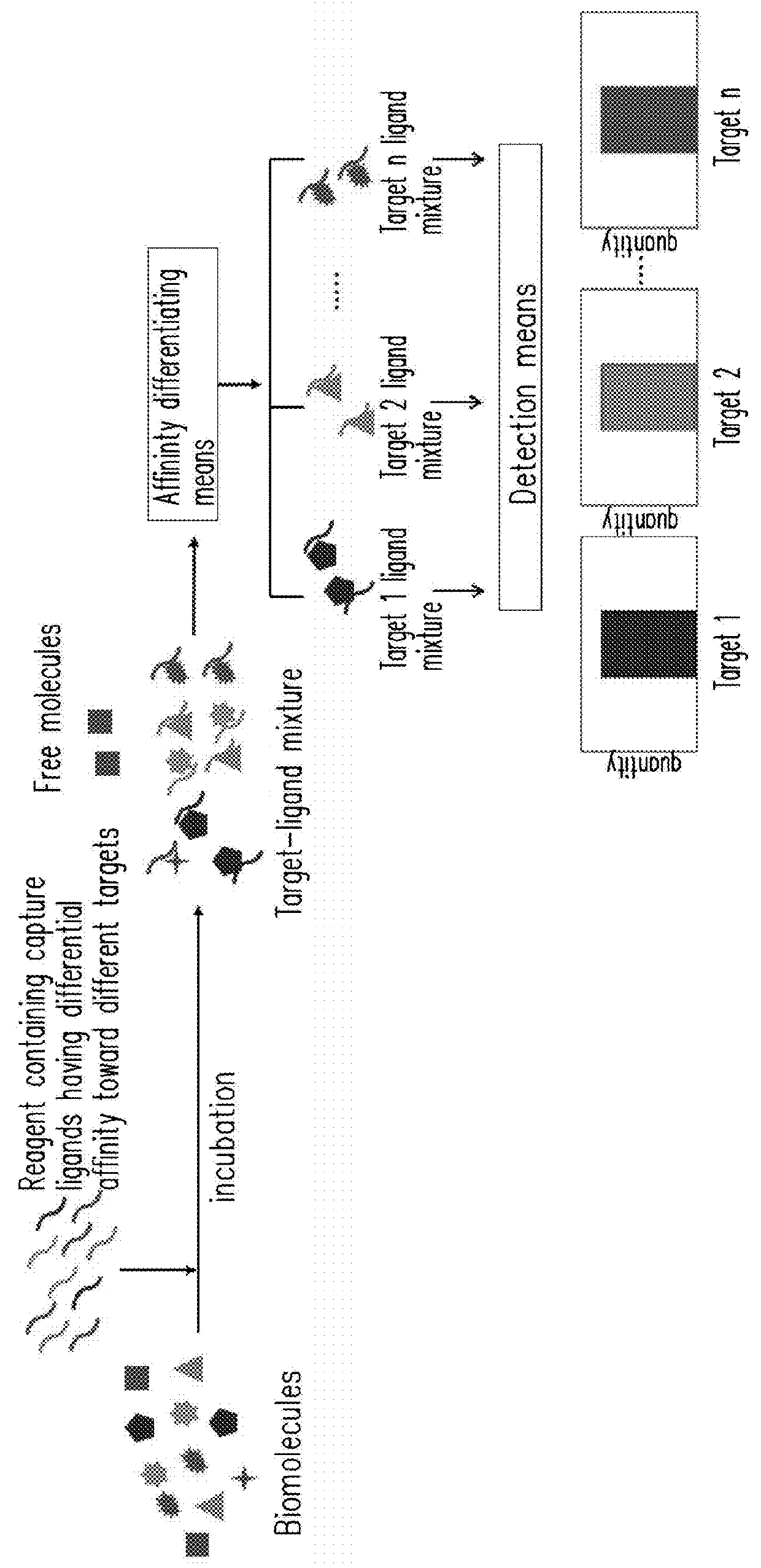 Method of multiplex immunoassays utilizing differential affinity and methods for synthesizing aptamer-based reagents for multiplex immunoassays