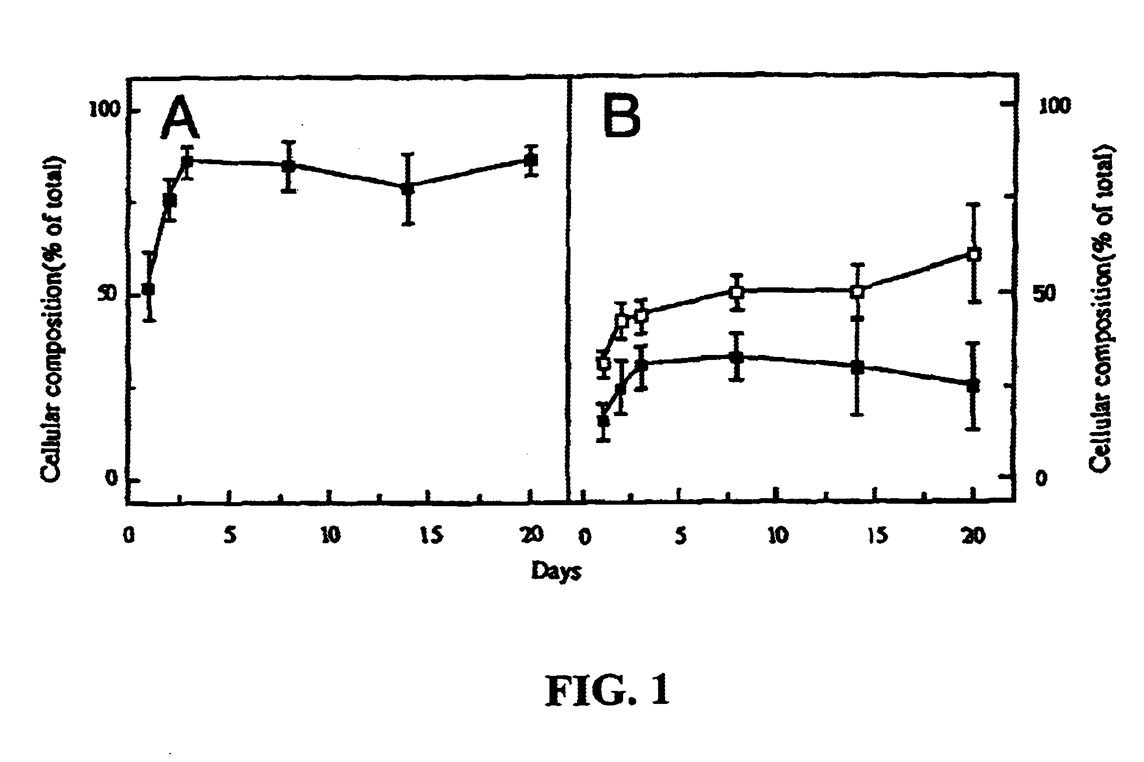 Method for producing preparations of mature and immature pancreatic endocrine cells, the cell preparation and its use for treatment of diabetes mellitus