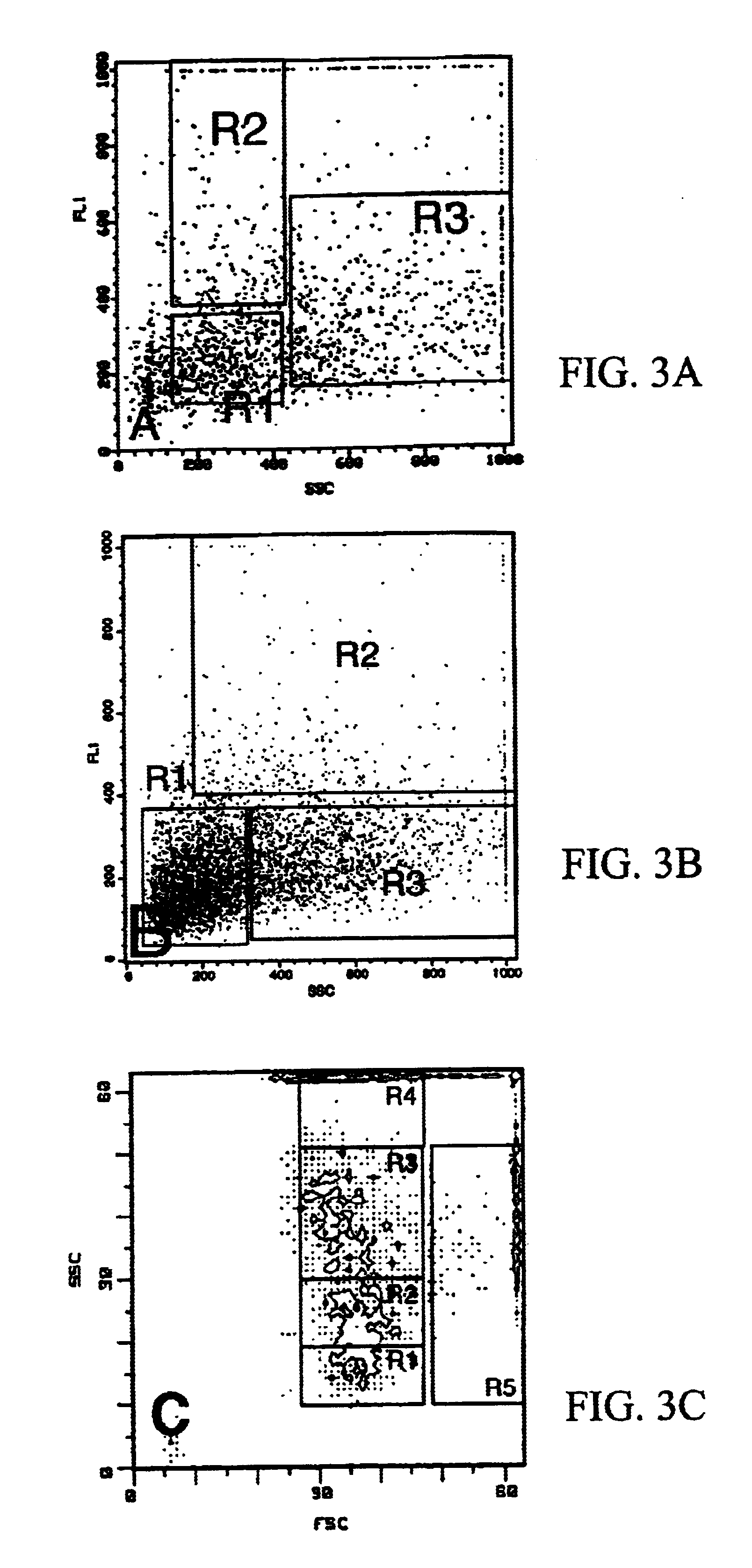 Method for producing preparations of mature and immature pancreatic endocrine cells, the cell preparation and its use for treatment of diabetes mellitus