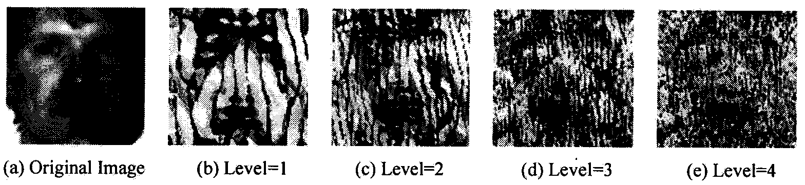 One-sample face identification method