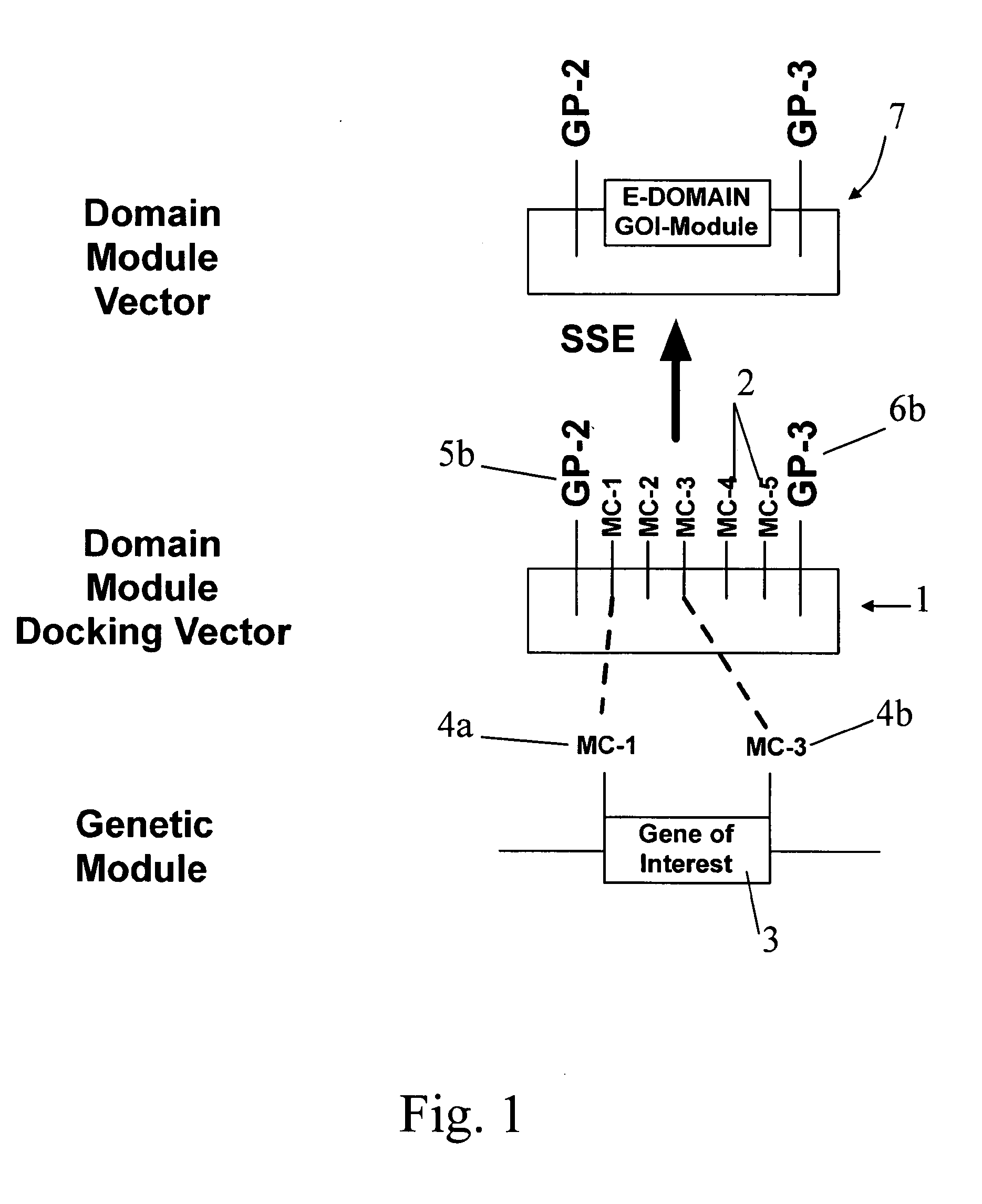 DNA modular cloning vector plasmids and methods for their use