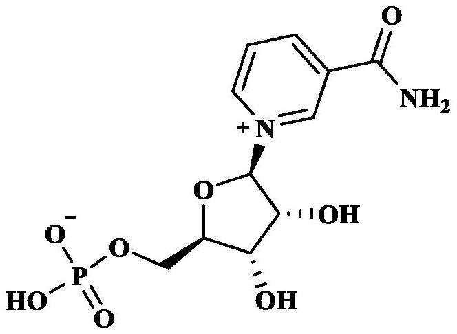 A preparation method and purification method of β-nicotinamide mononucleotide