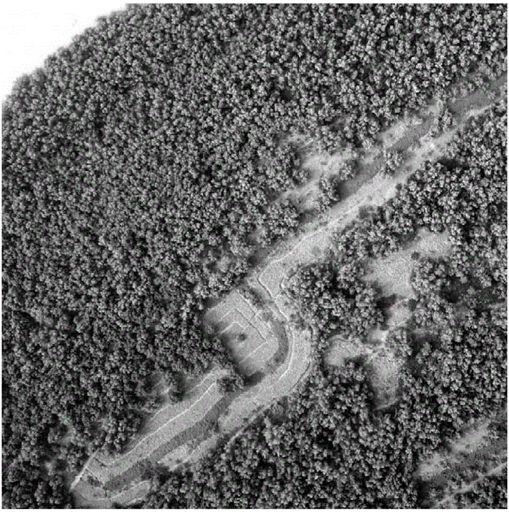 Method for fusing unmanned aerial vehicle image and multispectral image based on Gram-Schmidt