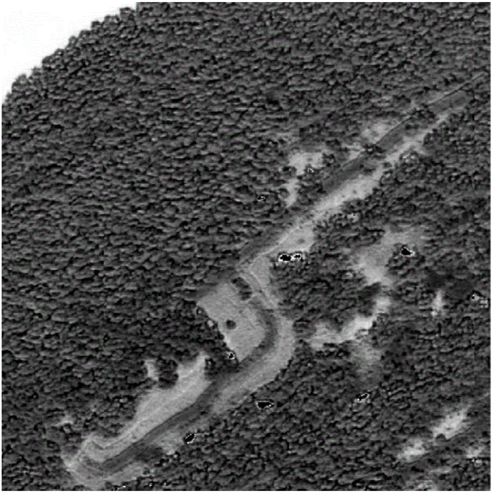 Method for fusing unmanned aerial vehicle image and multispectral image based on Gram-Schmidt