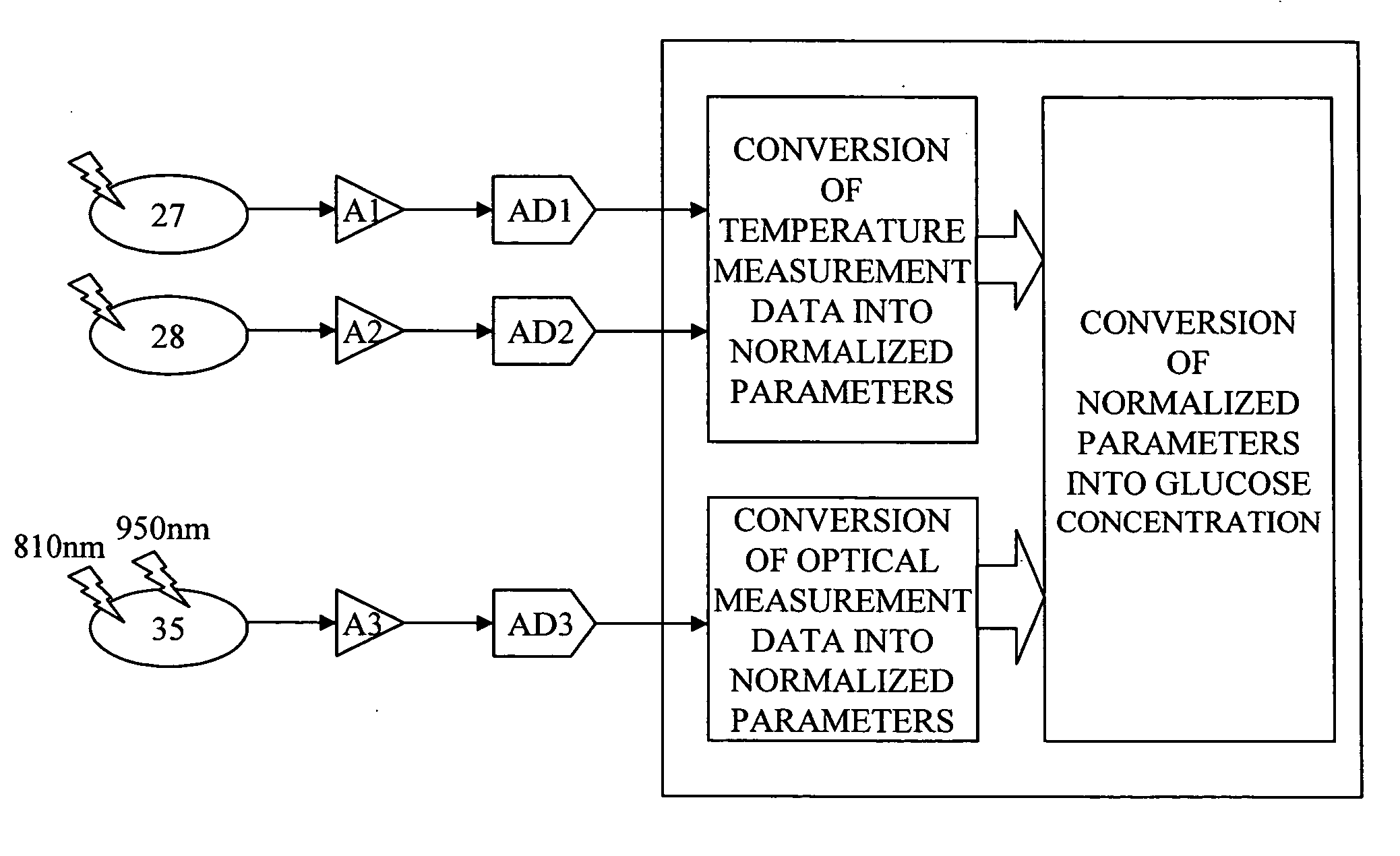 Blood sugar level measuring apparatus