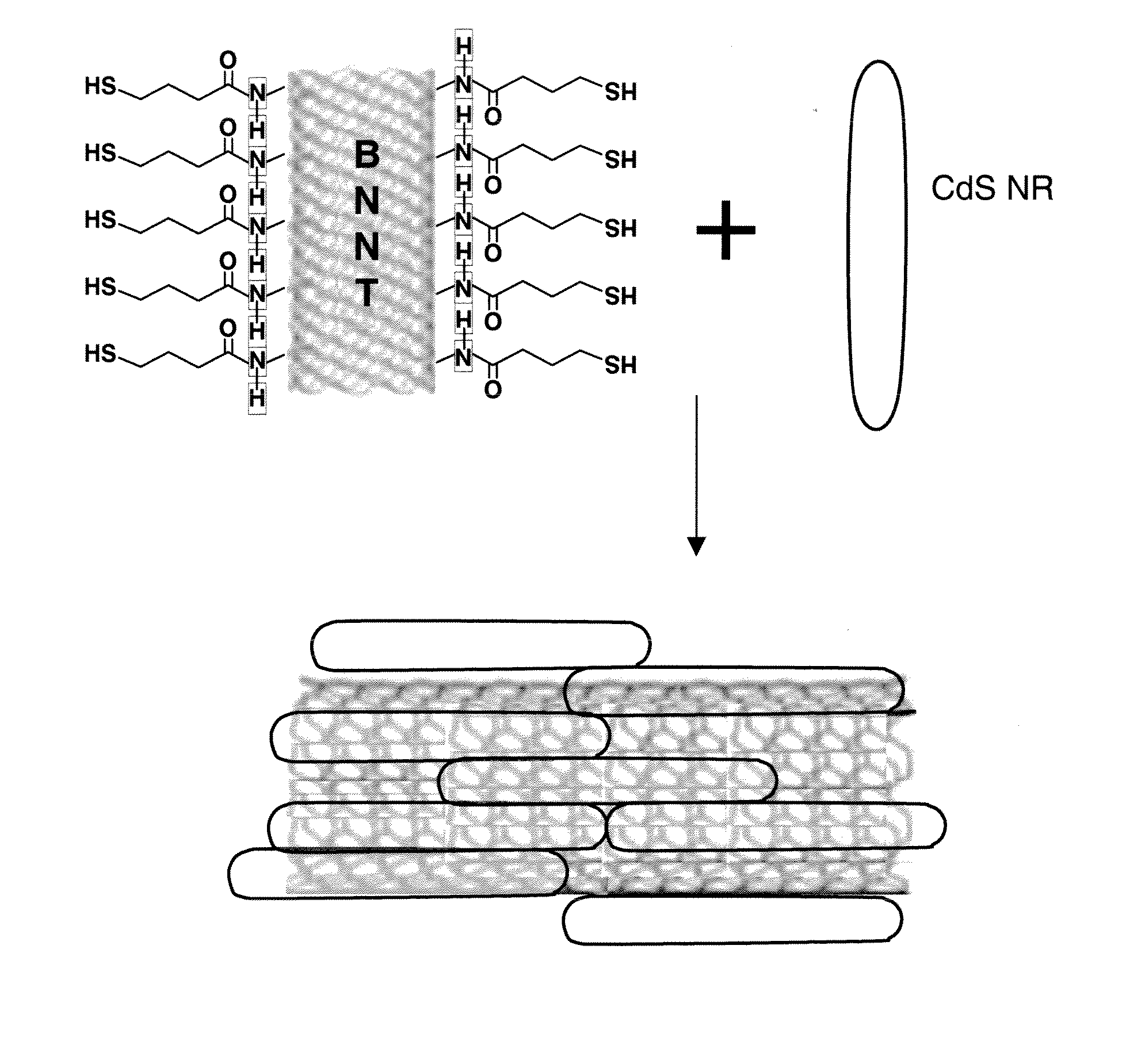 Amorphous silicon solar cells