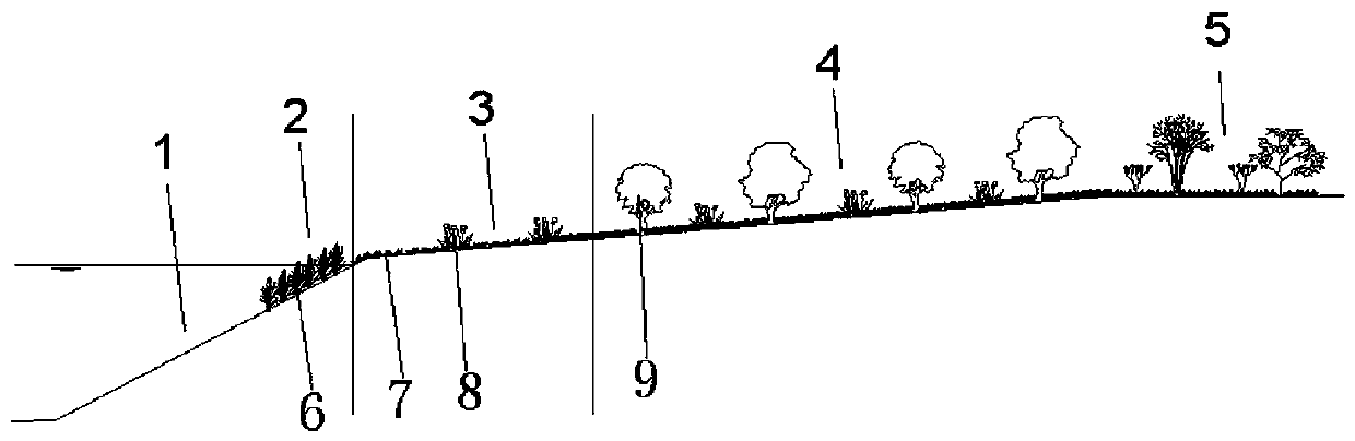 Near-natural riparian buffer zone for preventing and controlling non-point source pollution