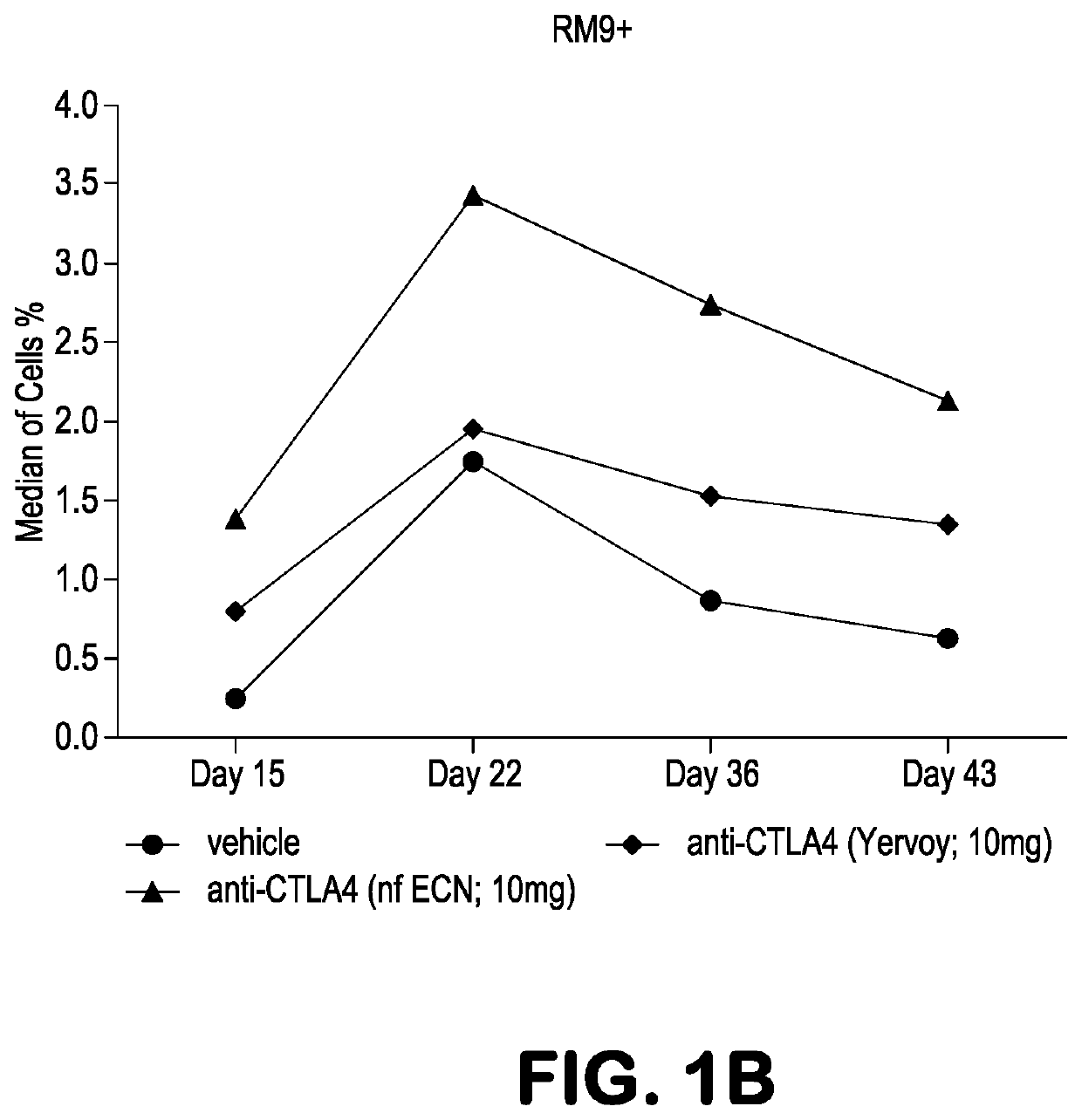 Use of Anti-ctla-4 antibodies with enhanced adcc to enhance immune response to a vaccine