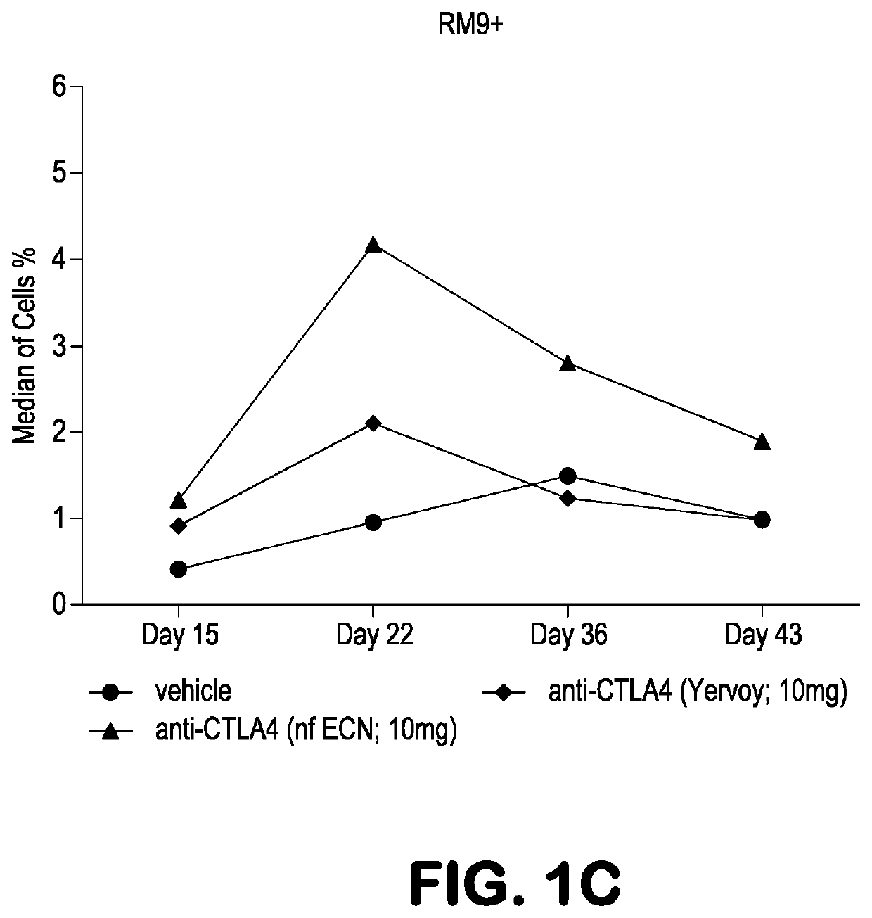 Use of Anti-ctla-4 antibodies with enhanced adcc to enhance immune response to a vaccine