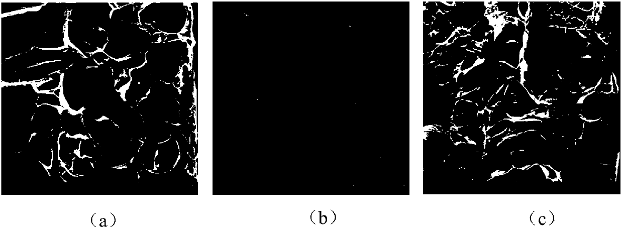 Phenol-degrading bacterium immobilization spherical granules and preparation method and application thereof