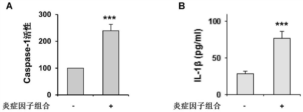 Application of Globulol