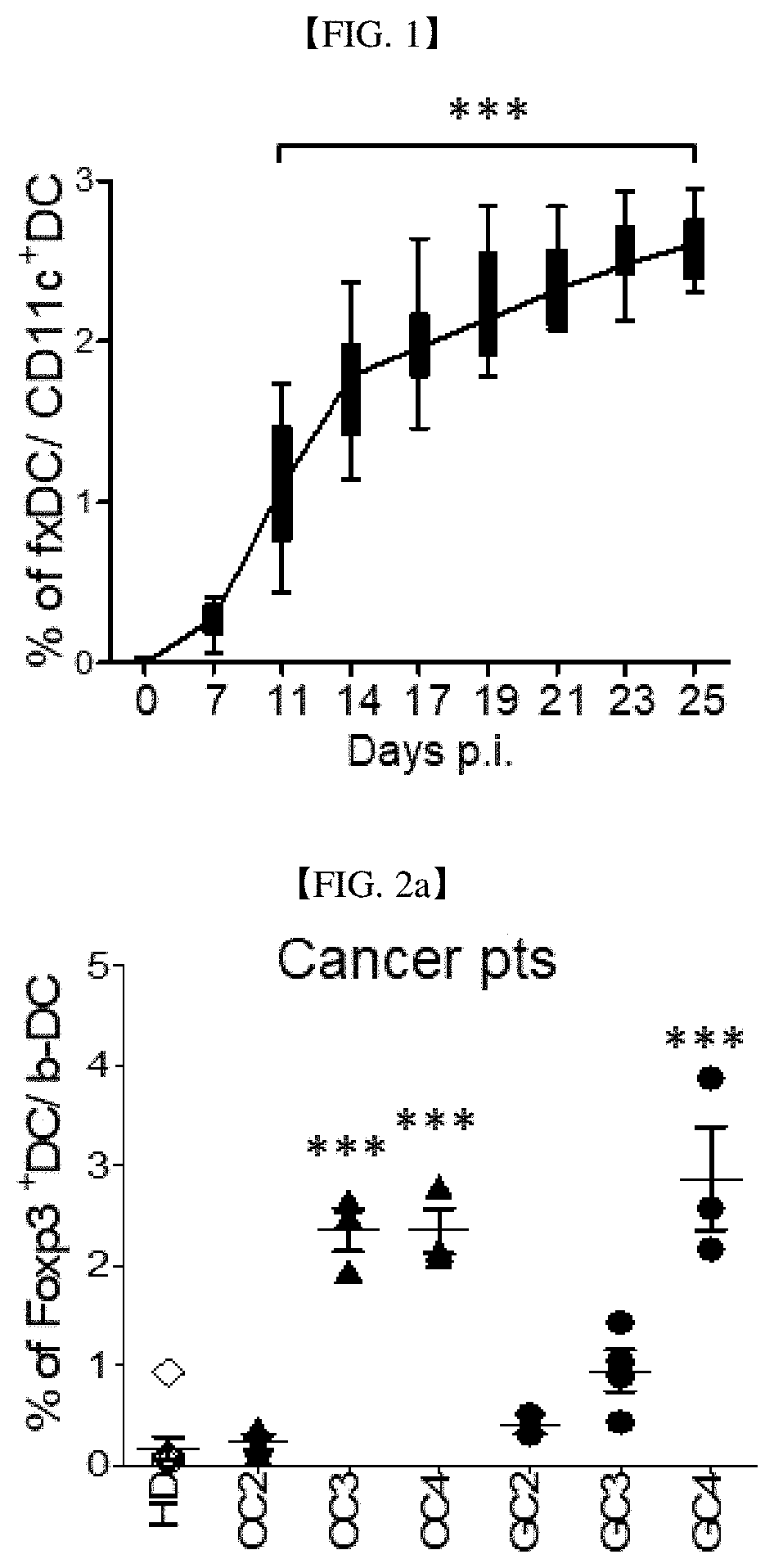 Use of dendritic cells expressing foxp3 for diagnosis or treatment of cancer