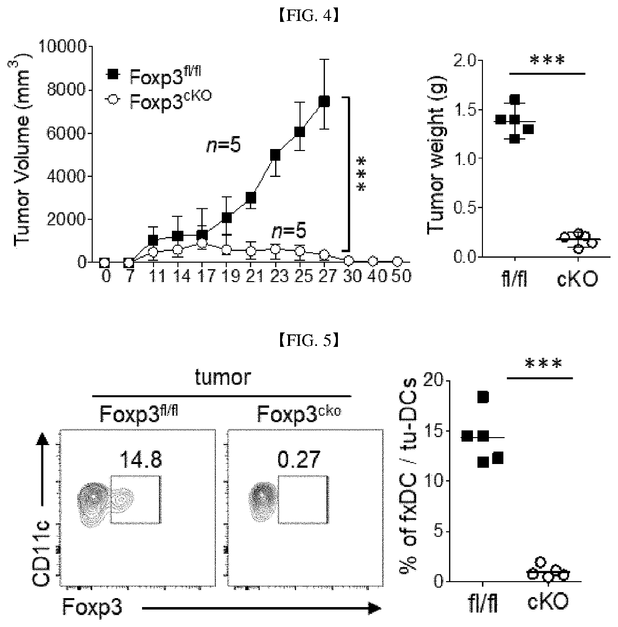 Use of dendritic cells expressing foxp3 for diagnosis or treatment of cancer