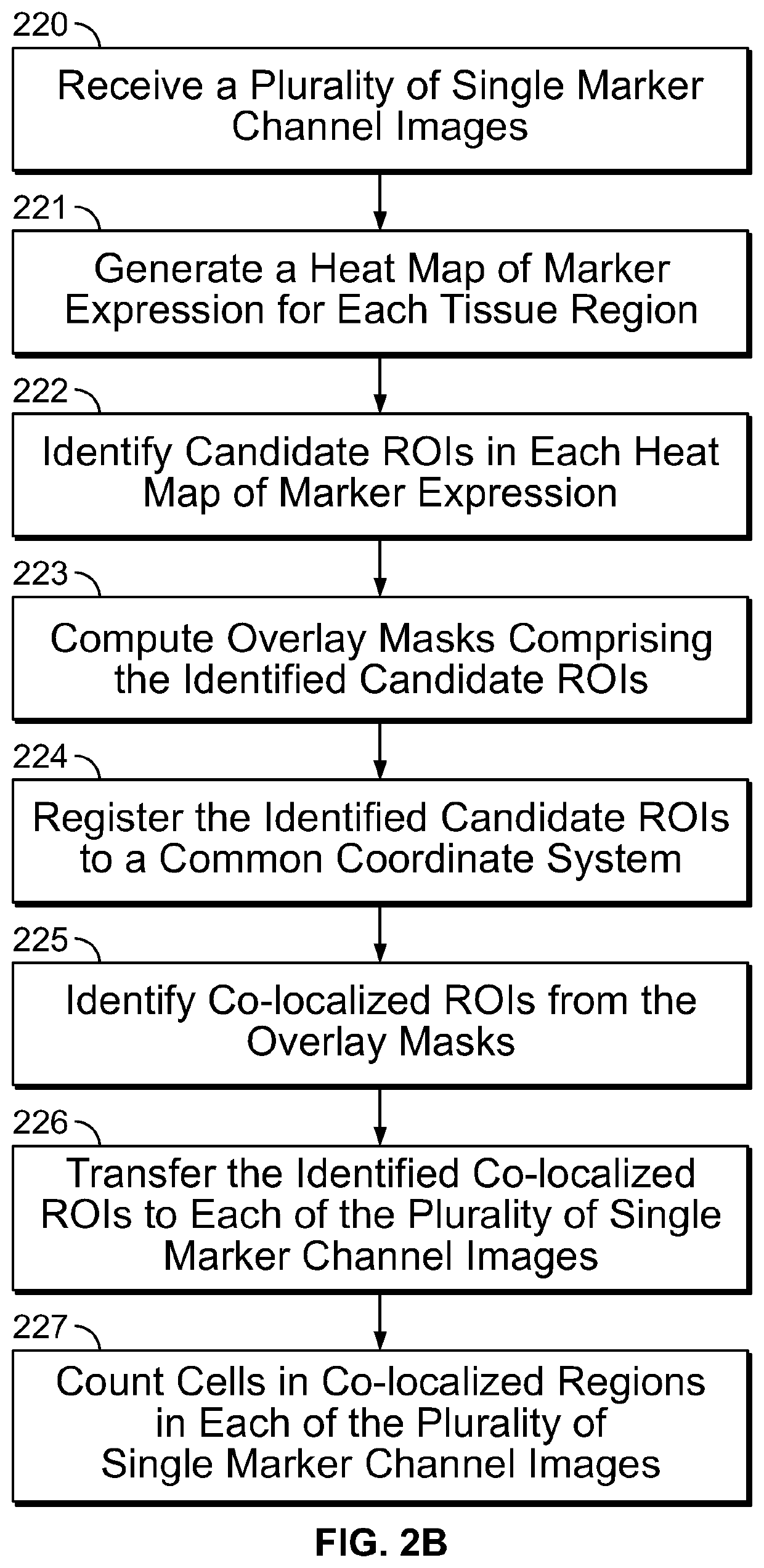 Systems and methods for co-expression analysis in immunoscore computation