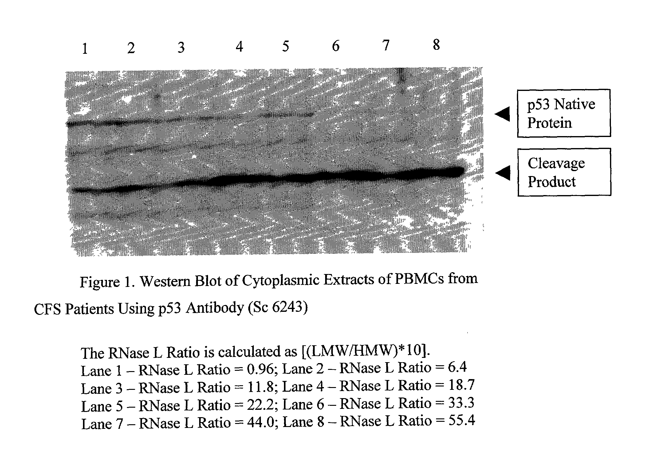 Methods for diagnosis and treatment of chronic immune diseases