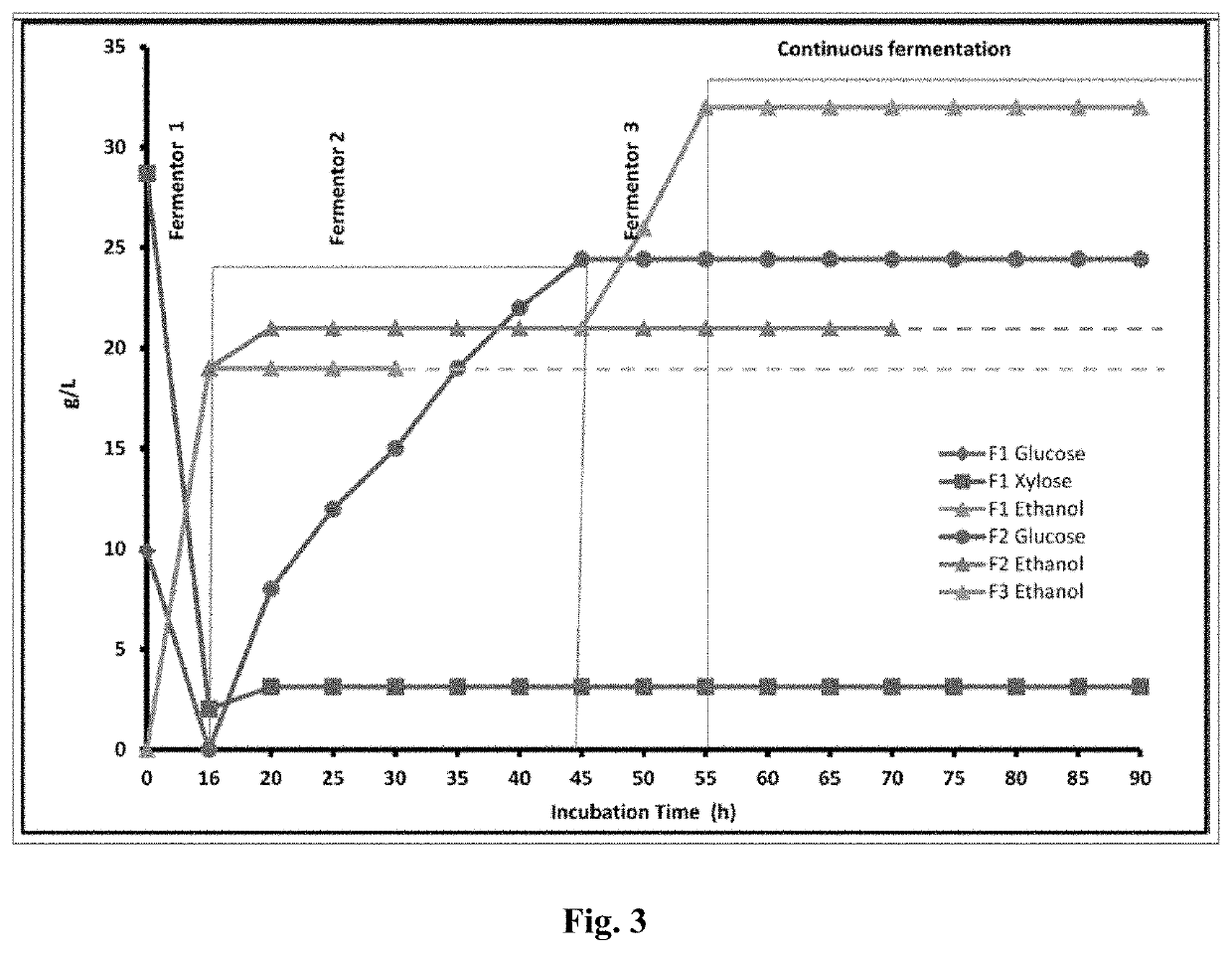 Method for continuous second-generation ethanol production in simultaneous saccharification and co-fermentation process