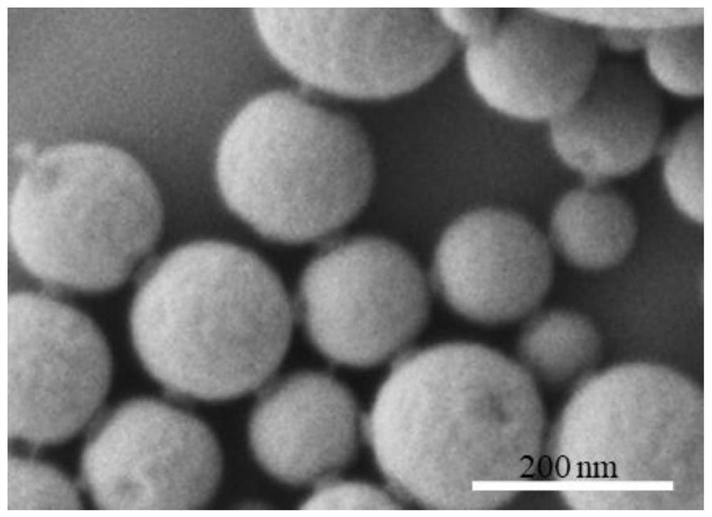 A kind of preparation method and application of tussah silk fibroin nanoparticles