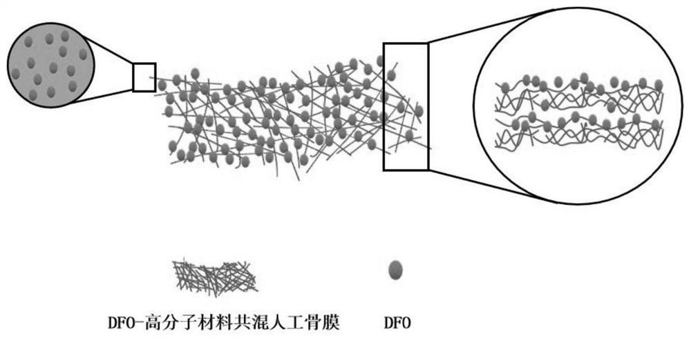 A kind of artificial periosteum loaded with deferoxamine and its preparation method