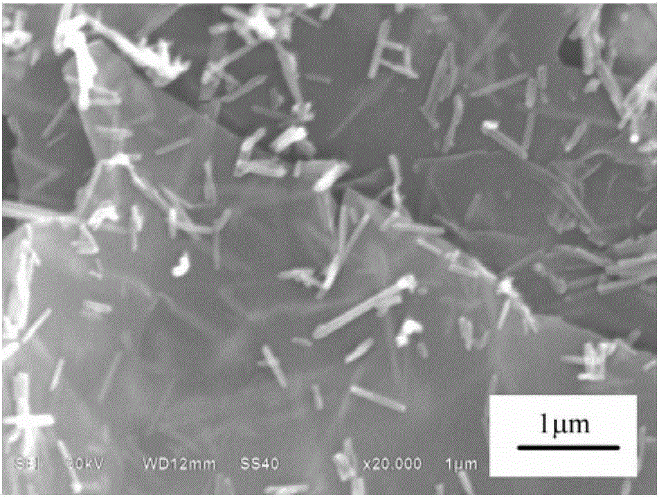 Preparation method for graphene and antimony sulphide nano-rod composite visible light catalyst