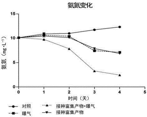 Enrichment culture method of indigenous nitrogen transforming microorganism and application of same to treatment of water ammonia-nitrogen pollution