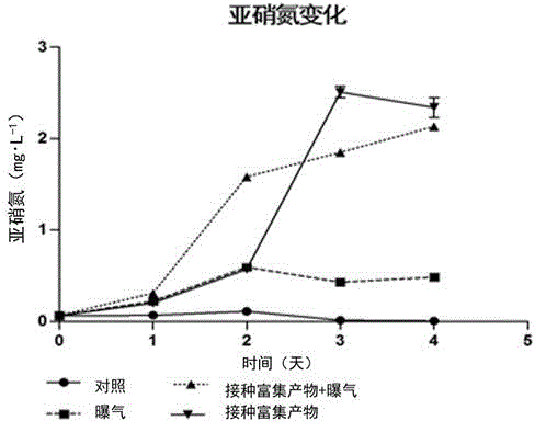 Enrichment culture method of indigenous nitrogen transforming microorganism and application of same to treatment of water ammonia-nitrogen pollution