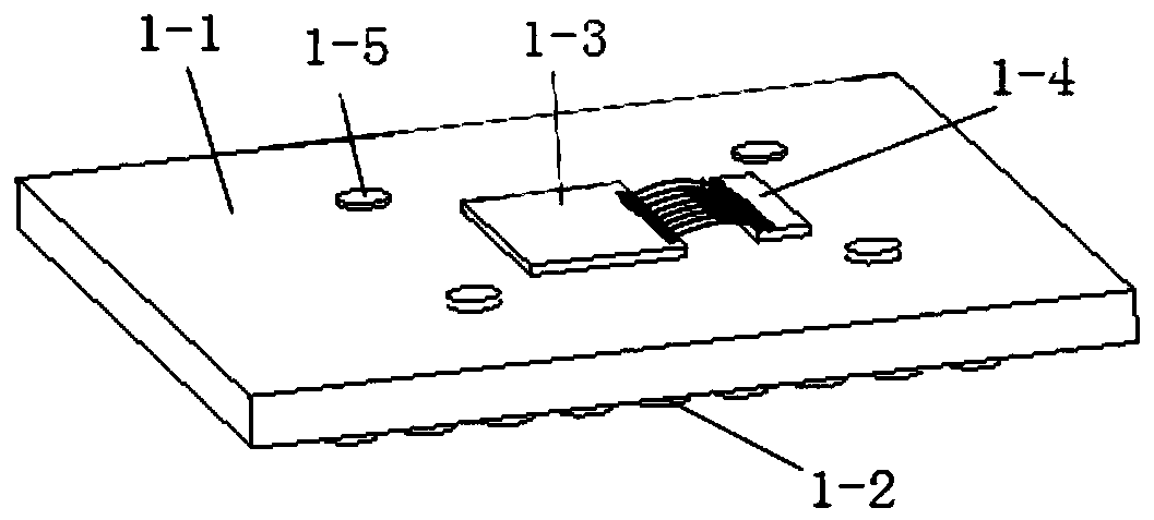 Multi-path optical module