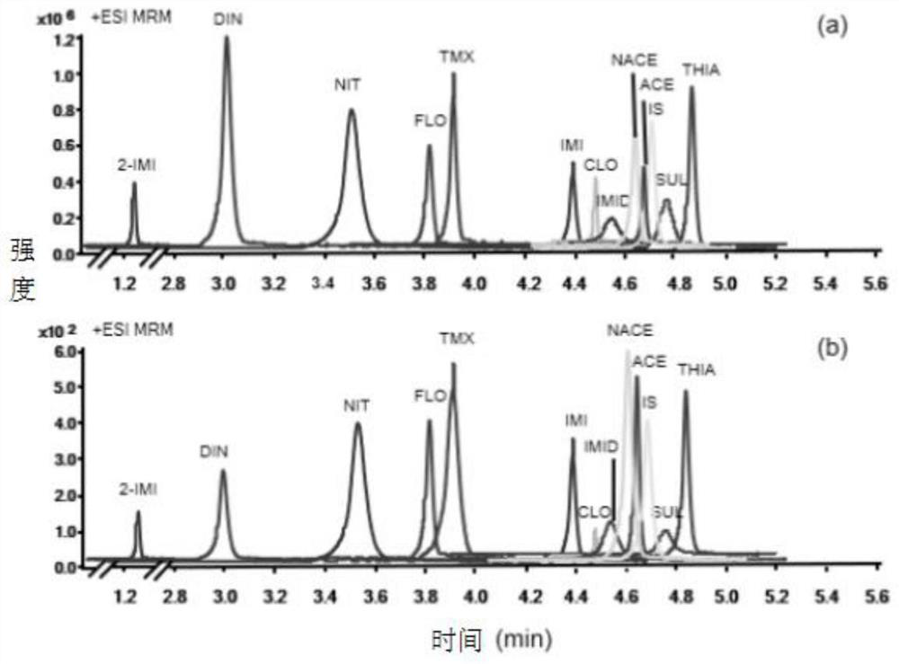 Method for detecting neonicotinoid insecticides and metabolites in urine by solid phase extraction-ultra-high performance liquid chromatography-tandem mass spectrometry