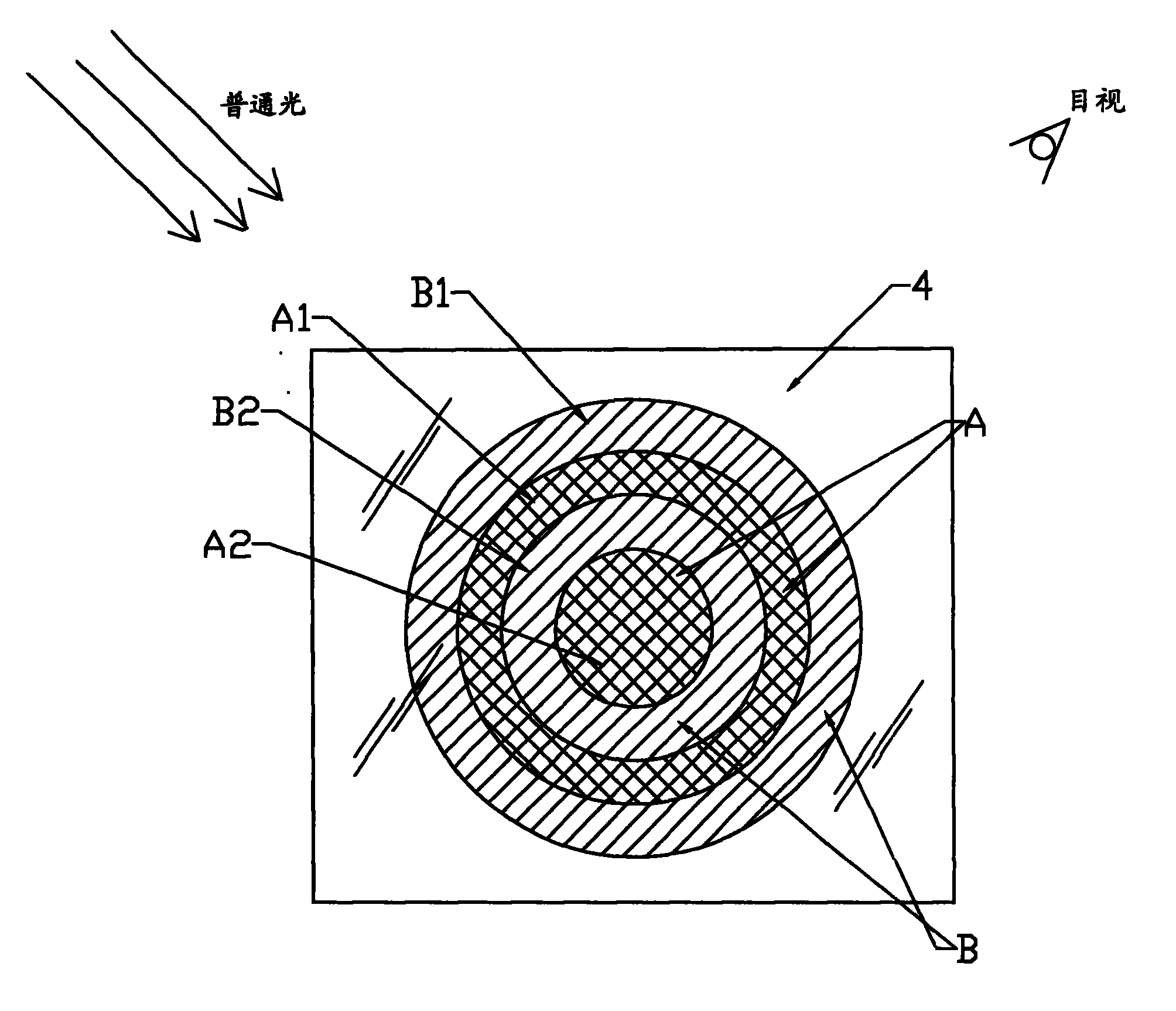 Confidential marker on anti false information carrier, test method, and test equipment