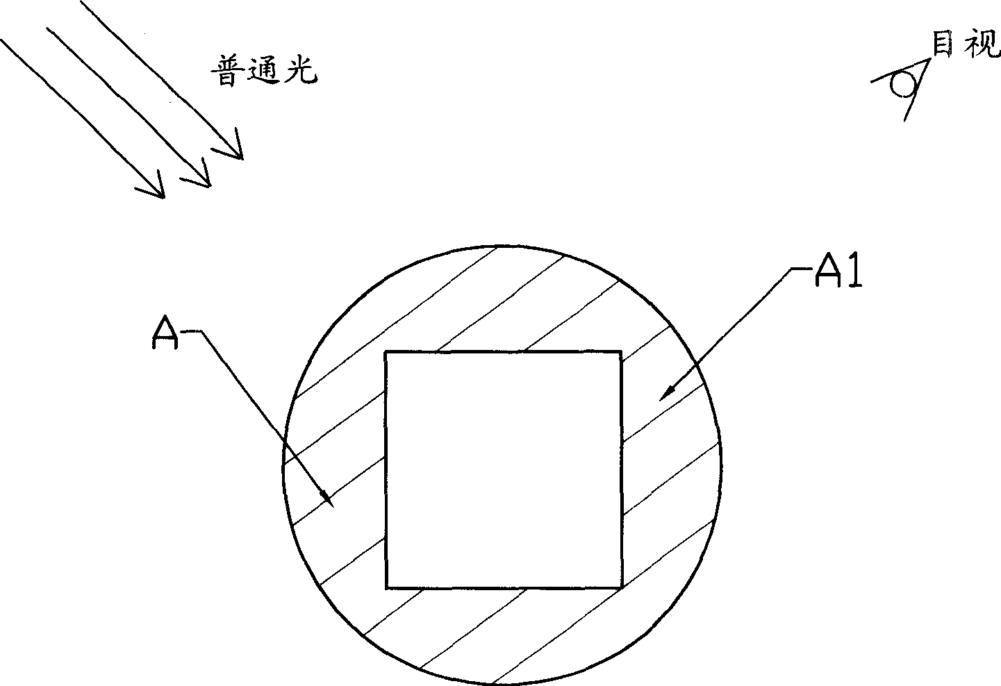 Confidential marker on anti false information carrier, test method, and test equipment