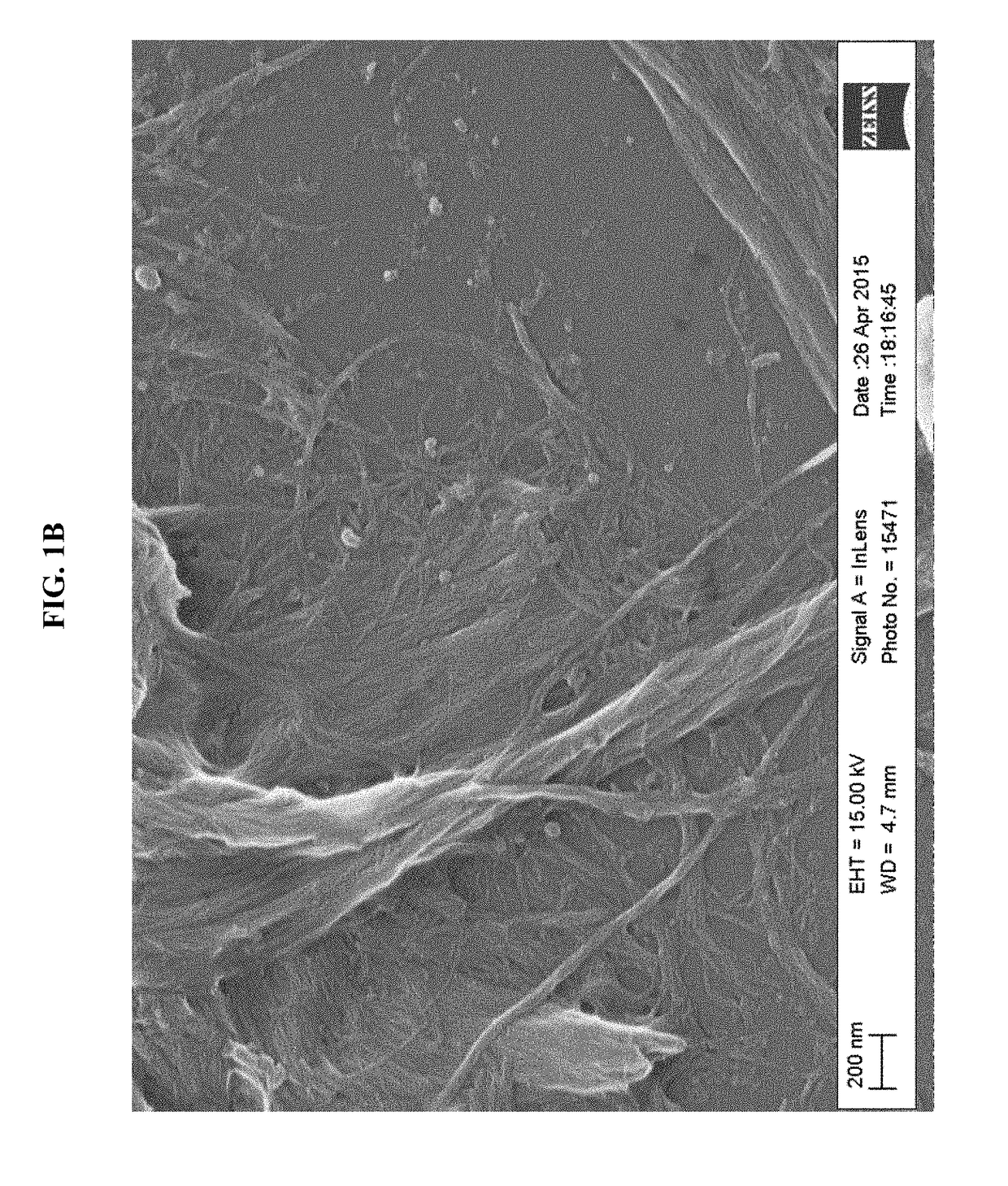Nanolignocellulose compositions and processes to produce these compositions