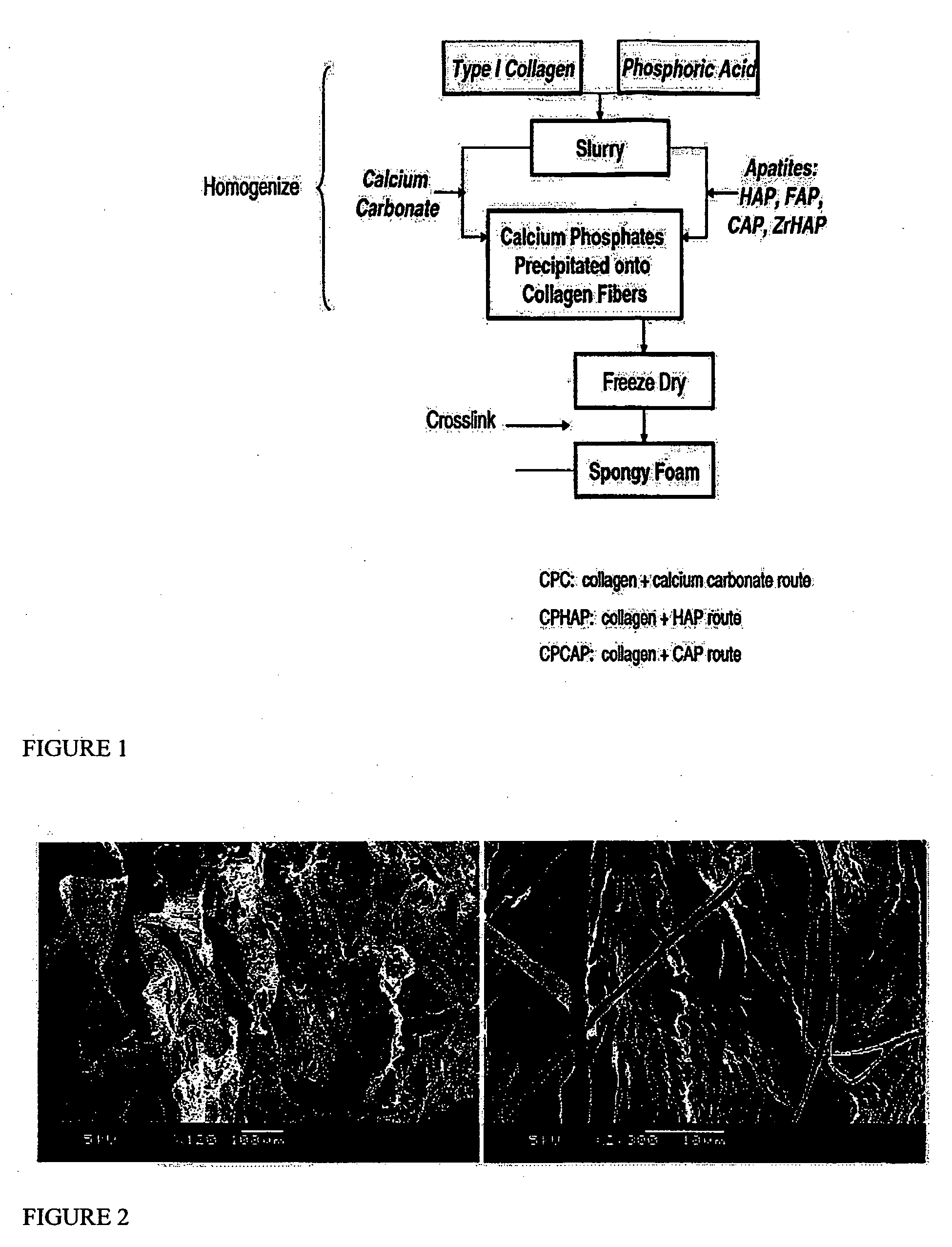 Porous biomaterial-filler composite and method for making the same