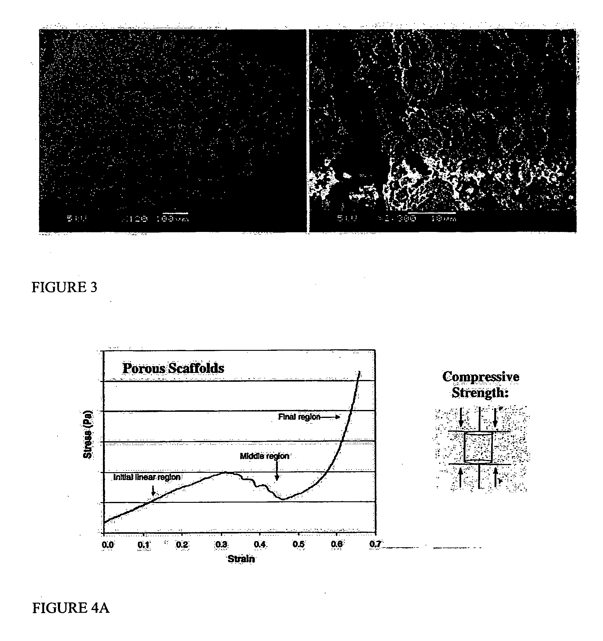 Porous biomaterial-filler composite and method for making the same