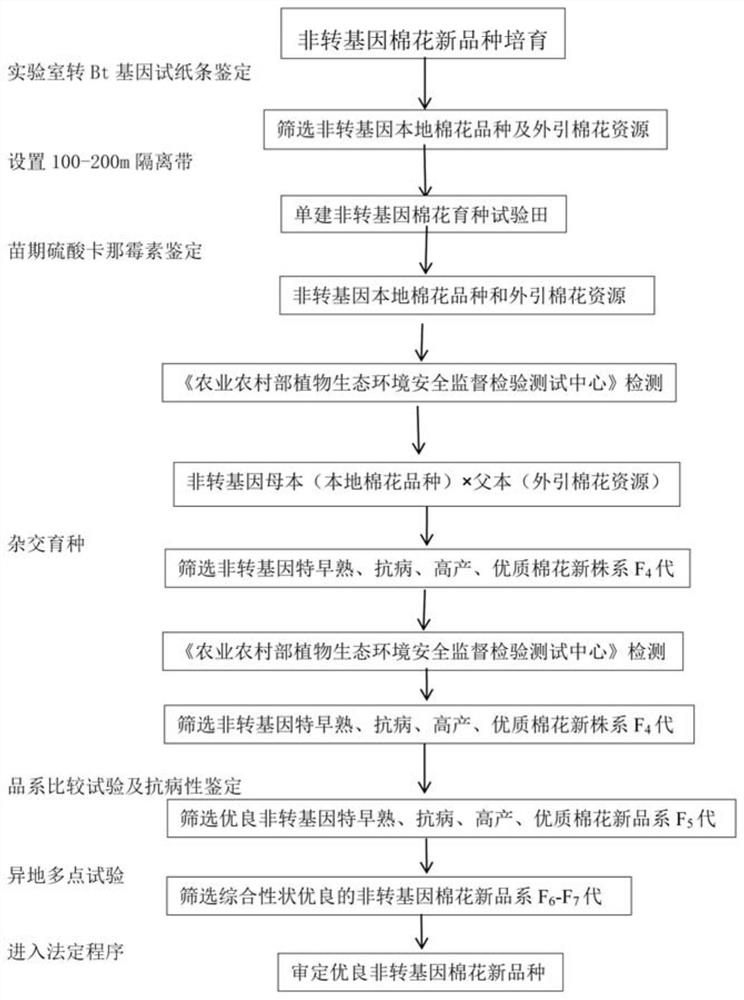 Non-transgenic cotton breeding method