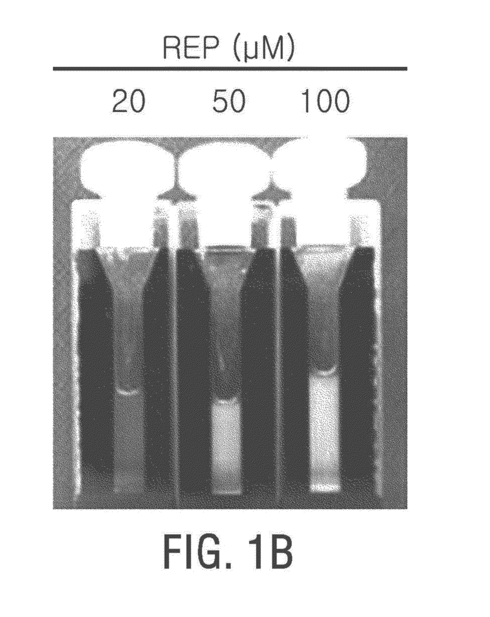Composition comprising neural cell and elastin-like polypeptide for treating parkinson's disease