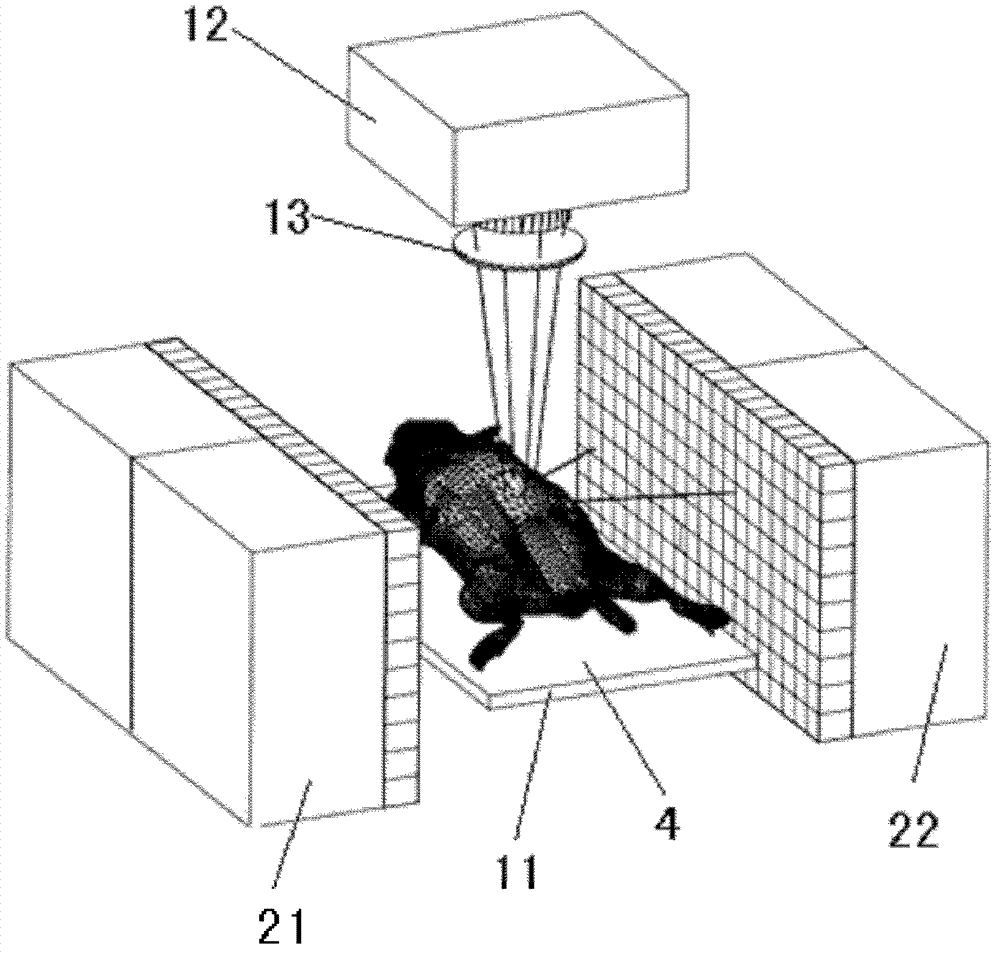 Three-mode small animal imaging system integrating fluorescence, nuclei and X rays