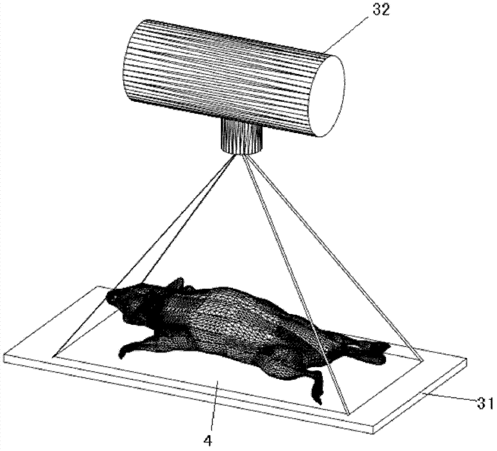 Three-mode small animal imaging system integrating fluorescence, nuclei and X rays