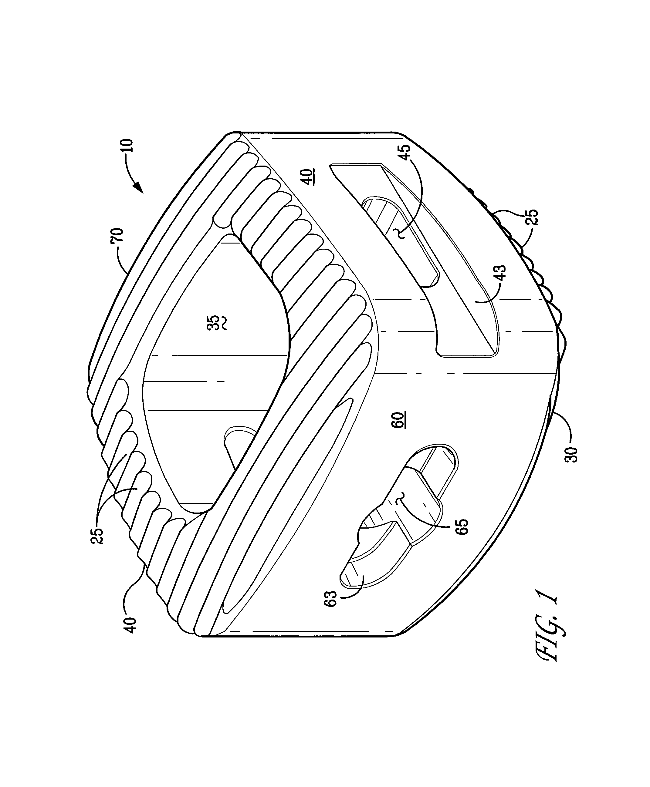 Bioactive spinal implants and method of manufacture thereof