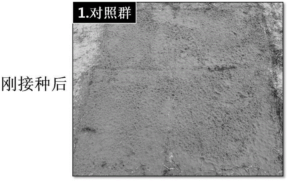 Composition for ecological restoration using and method for restoring the degraded ecology by them