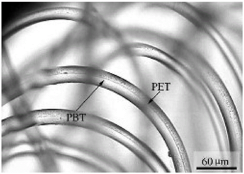 PBT-PET (Polybutylece Terephthalate-Polyethylene Terephthalate) composite elastic fibers and preparation method of PBT-PET composite elastic fibers