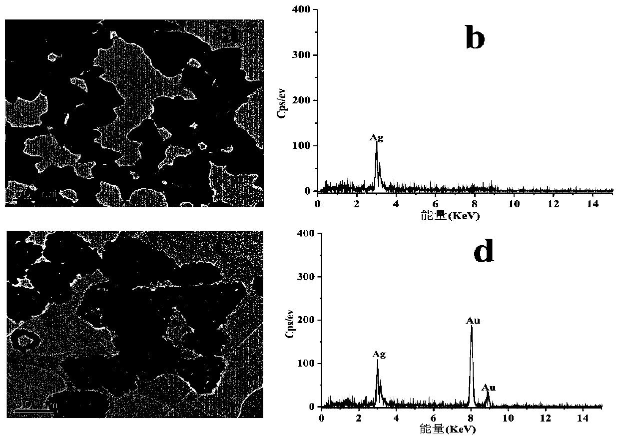 Trace amoxicillin detection method taking Ag@Au as SERS substrate