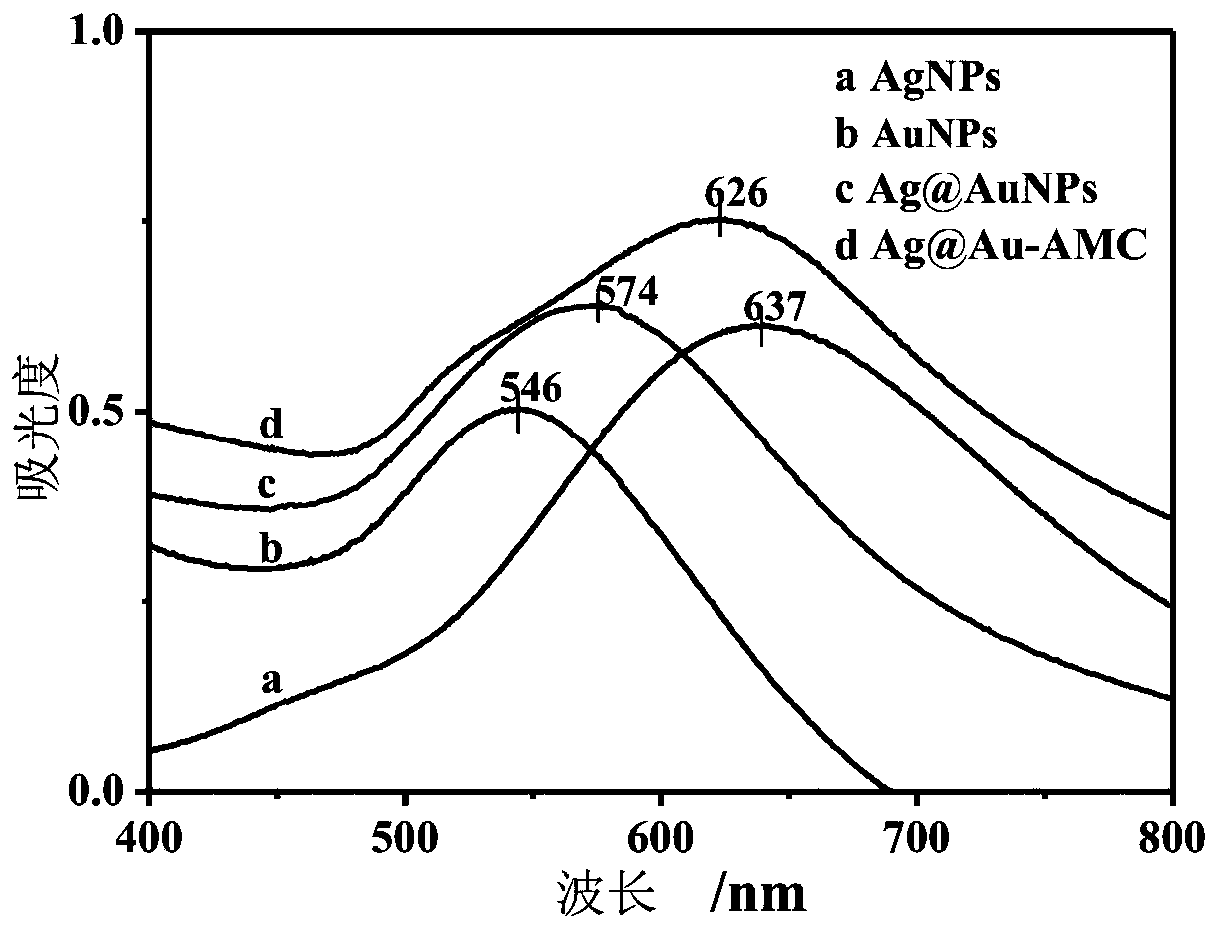 Trace amoxicillin detection method taking Ag@Au as SERS substrate